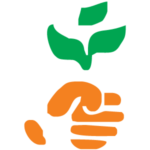 Nova Organic Foods