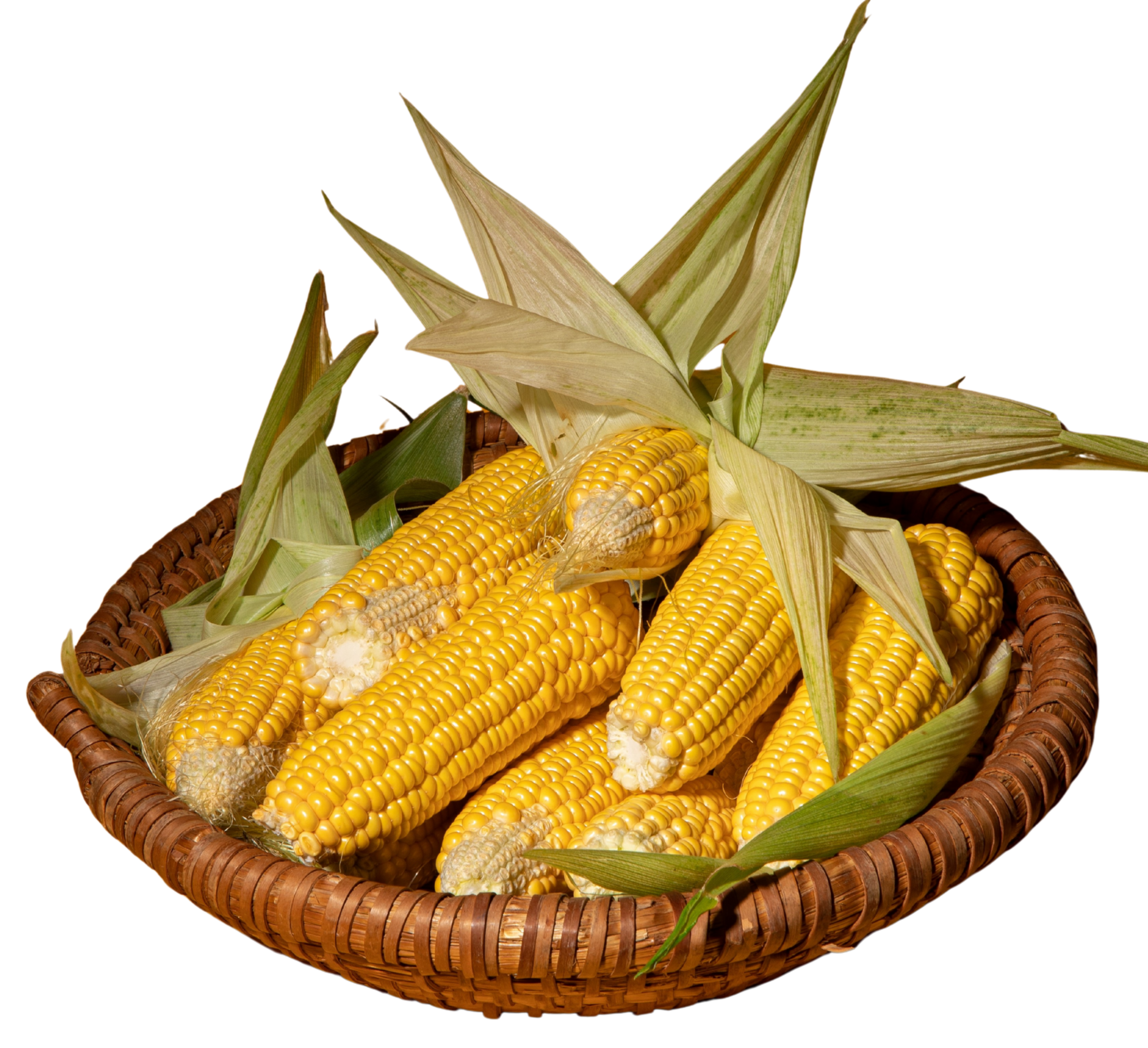 Nova Organic Foods