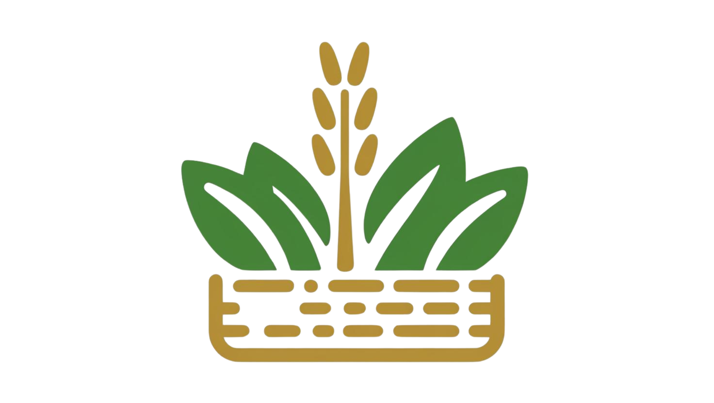Nova Organic Foods